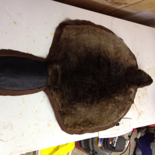 bad taxidermy beaver