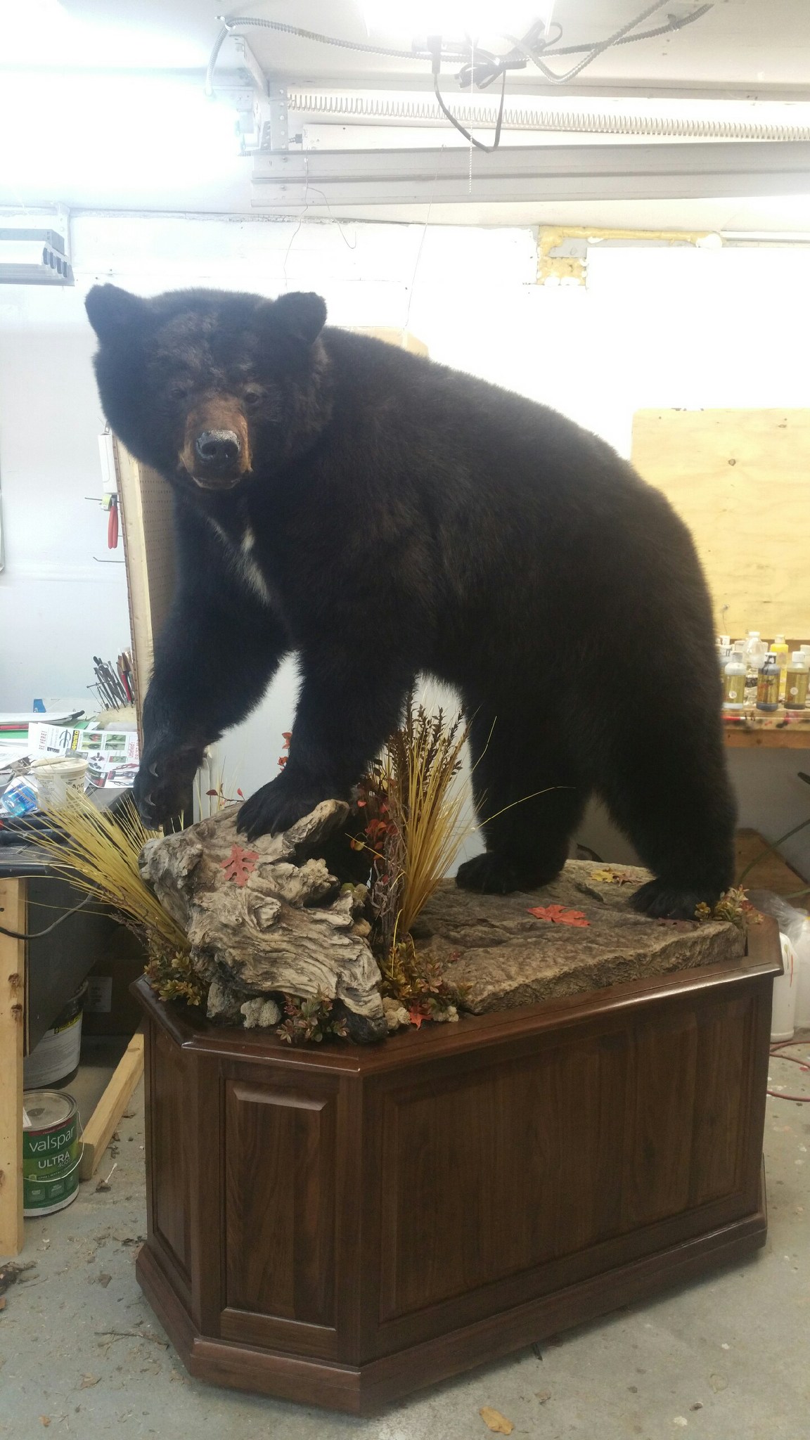 BIG GAME TAXIDERMIST