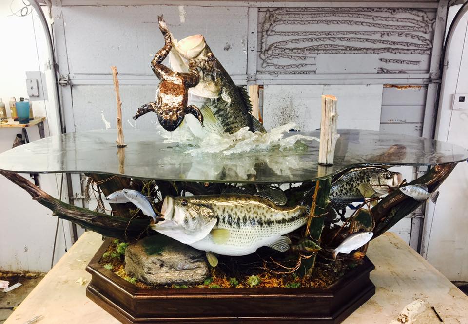 large-mouth-bass-and-bull-frog-coffee-table-by-vance-montgomery - Vanmar  Taxidermy by Vance Montgomery