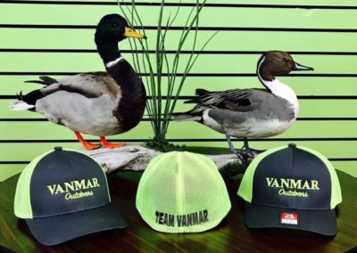 Mallard Ducks with Hats